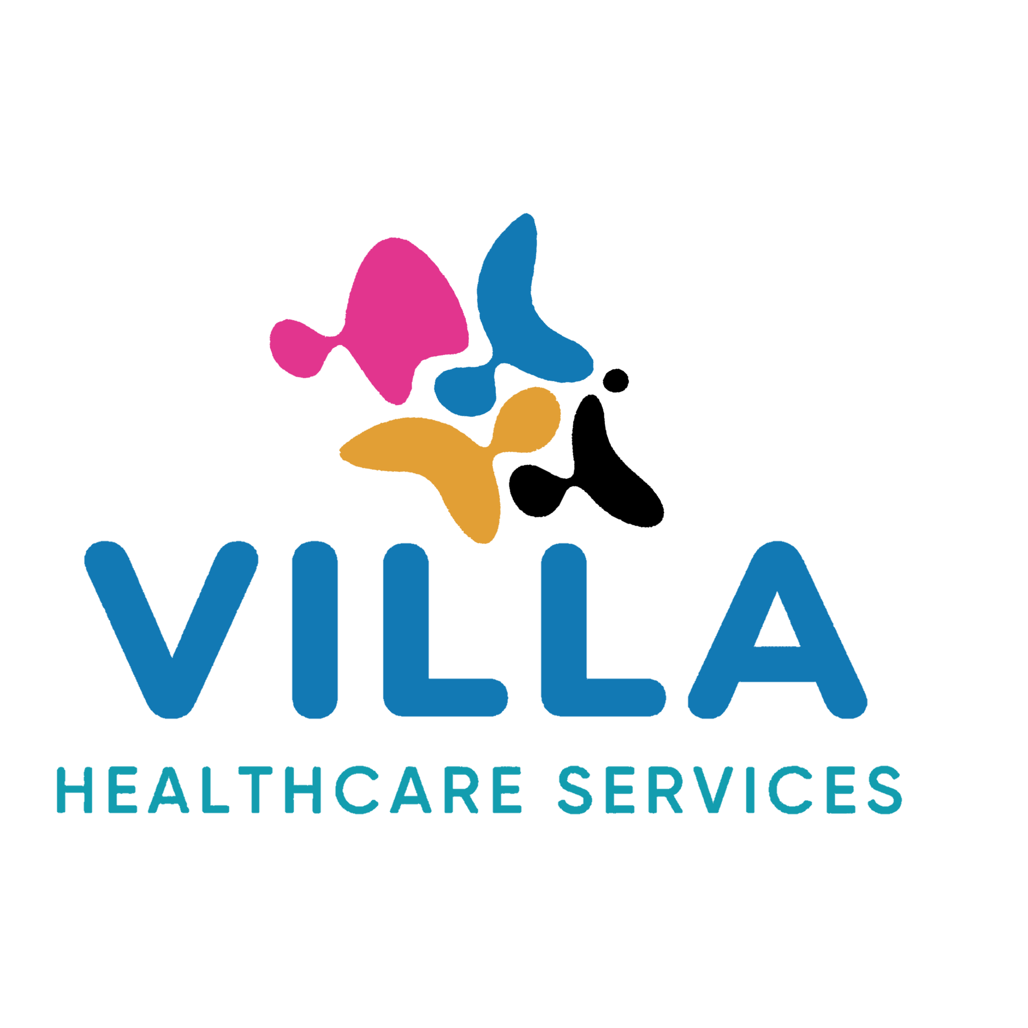 Villa Healthcare Services